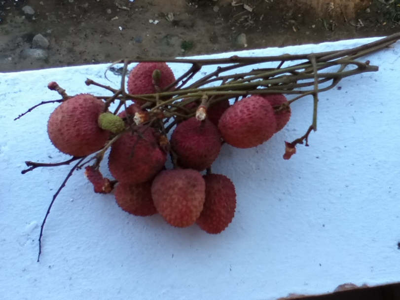 bunch of lychee; this many costs about 200 Ariary